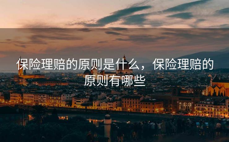 保险理赔的原则是什么，保险理赔的原则有哪些