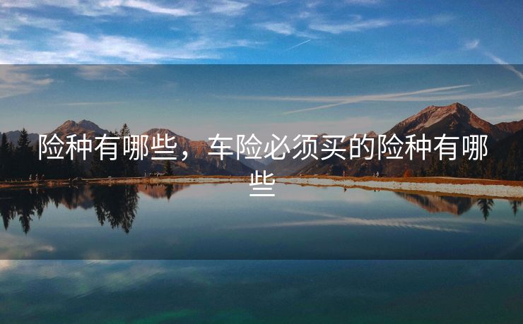 险种有哪些,车险必须买的险种有哪些 险种有哪些,车险必须买的险种有哪些