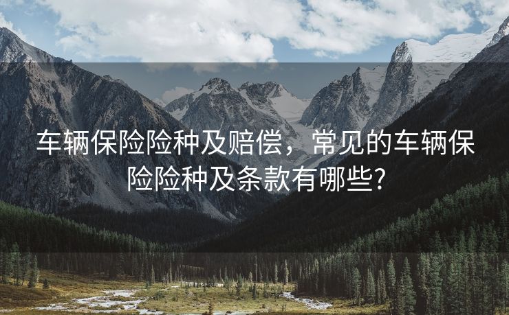 车辆保险险种及赔偿，常见的车辆保险险种及条款有哪些?